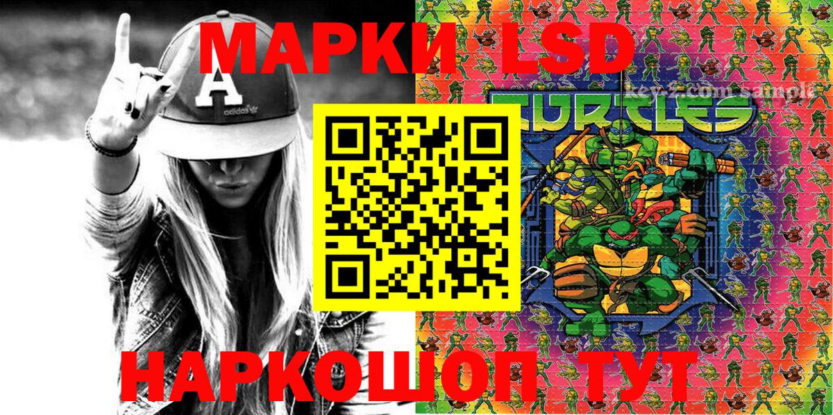 Наркотические марки 1,5мг  Вход с VPN  Карачаевск  Наркотические марки 1,5мг 